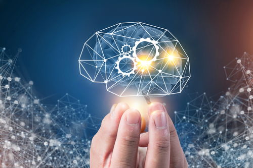 人工智能中的数据安全 释放AI力量的关键与基础软件开发路径